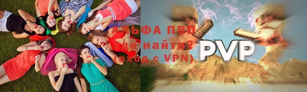 ECSTASY Заводоуковск