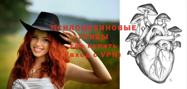 ALPHA-PVP Заволжье